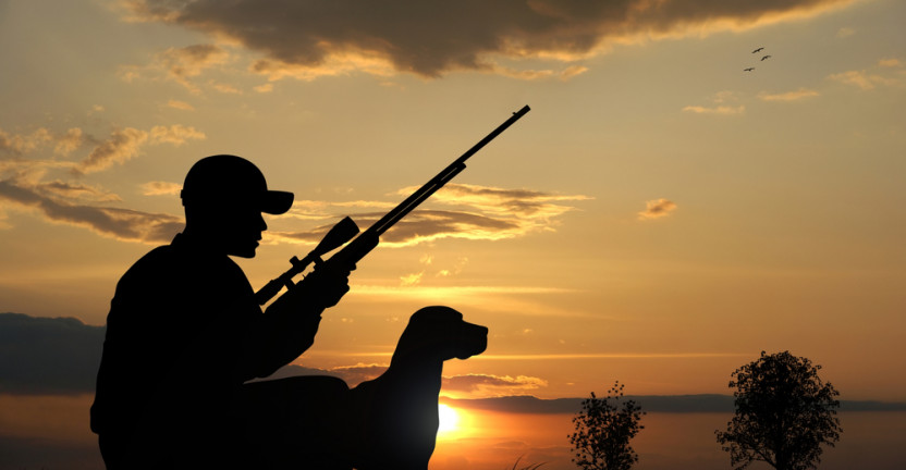 Охота и охотничье хозяйство